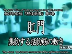 Subtitled ENF CMNF CFNF Japanese medical anus massage 