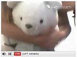 01boba 4 Livestream Webcam Live Show 