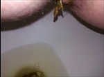 Hairy milf shitting in the toilet 