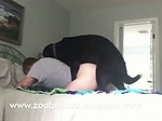 zoobestxxx gay anal and dog 