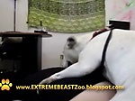 ExtremeBeastZoo girl and dog 